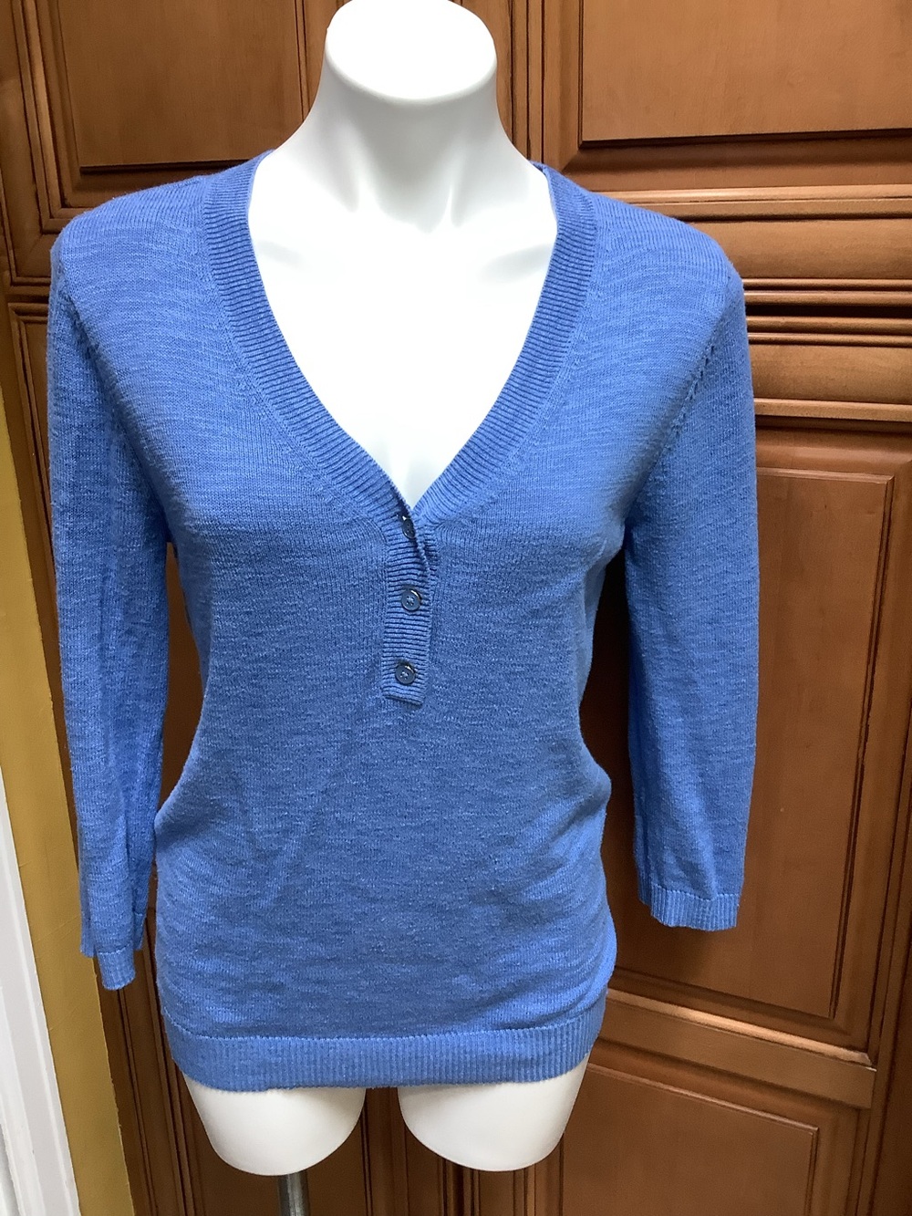 NWOT MEDIUM BLUE V NECK SWEATER